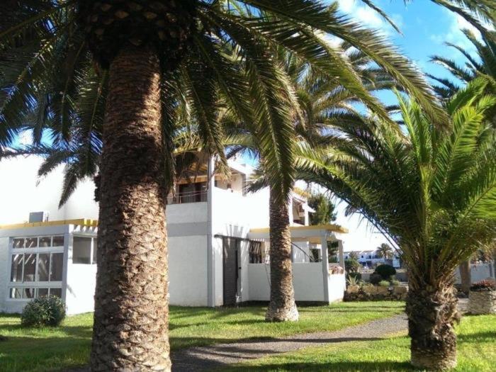 קוסטה דל סילנסיו El Drago Apartment Fiber ,A/C,Near Ocean מראה חיצוני תמונה